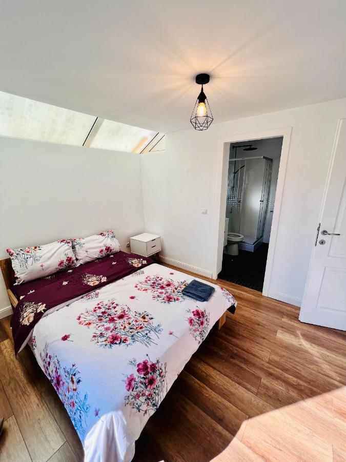 Master Adventure Guest House Vadu Crisului Dış mekan fotoğraf