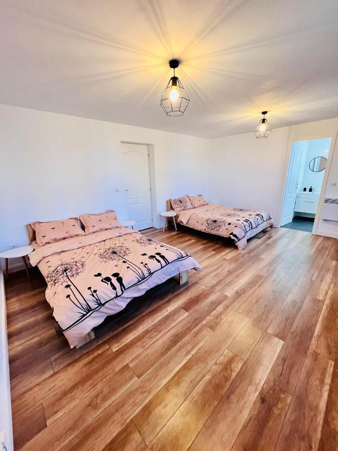Master Adventure Guest House Vadu Crisului Dış mekan fotoğraf