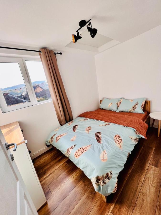 Master Adventure Guest House Vadu Crisului Dış mekan fotoğraf